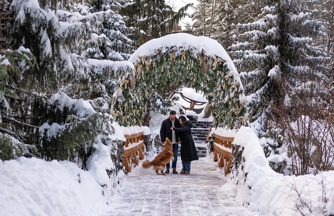 Four Seasons Resort Whistler-1